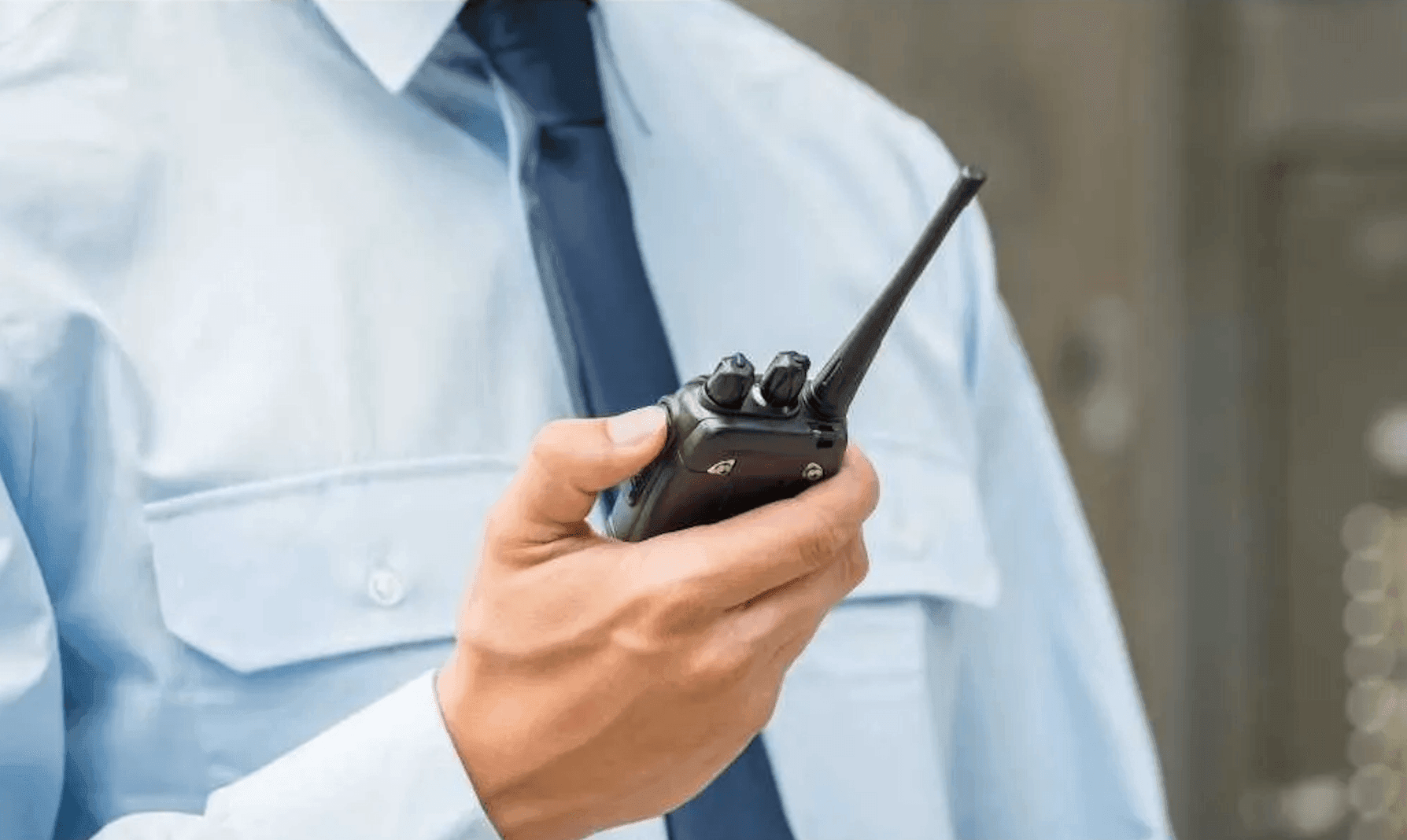 Servicios de Seguridad